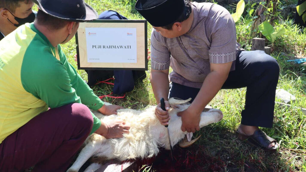 Kurban Mizan Amanah di Cianjur