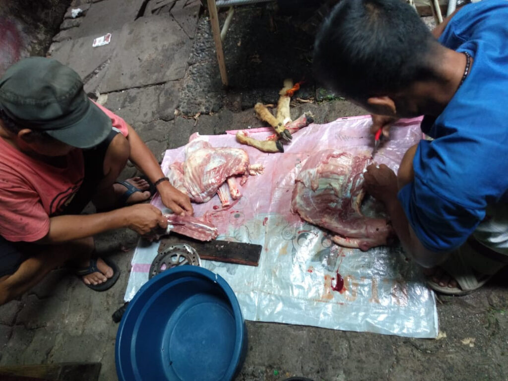 Kurban Mizan Amanah di Kampung Muka