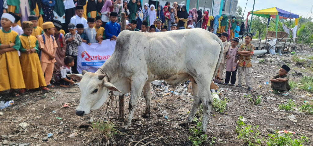 Kurban Mizan Amanah di Panipahan, Riau